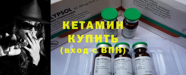 гидра Новозыбков
