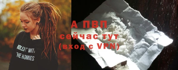гидра Новозыбков