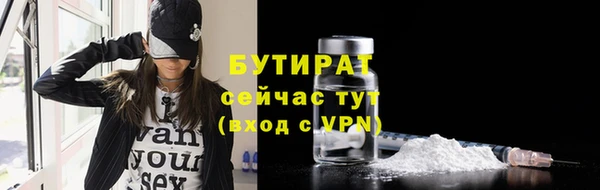 гидра Новозыбков