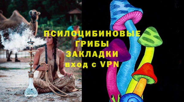 гидра Новозыбков