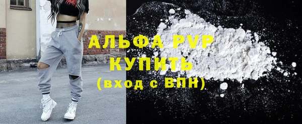 гидра Новозыбков