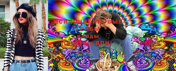 гидропоника Няндома