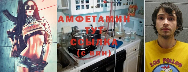 гидропоника Няндома