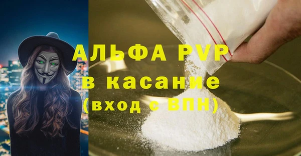 гидра Новозыбков