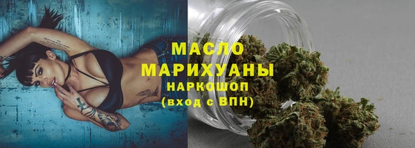 гидра Новозыбков